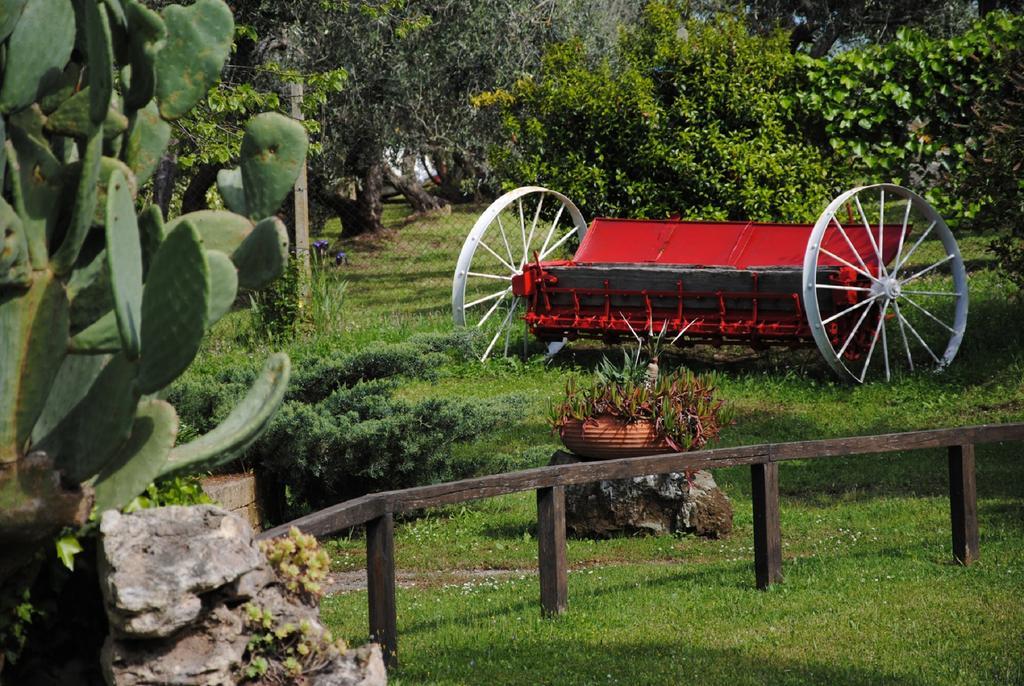 Tenuta Di Pontesodo Montalto di Castro Extérieur photo